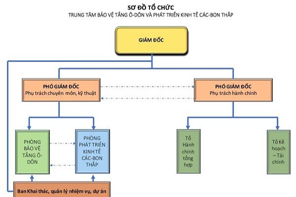 Cơ cấu tổ chức 
